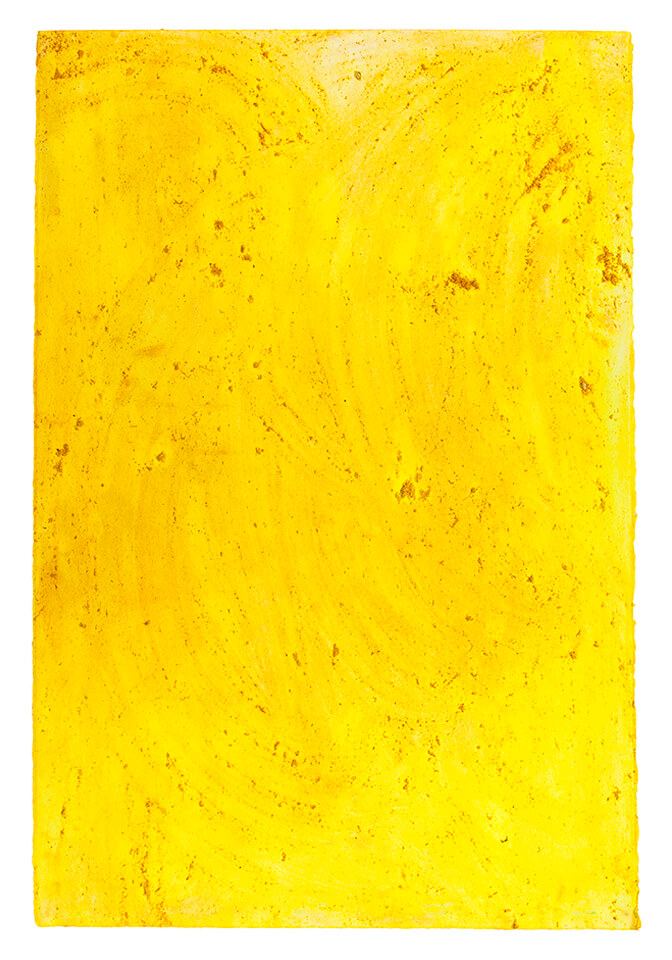 curcuma papel 14.jpg